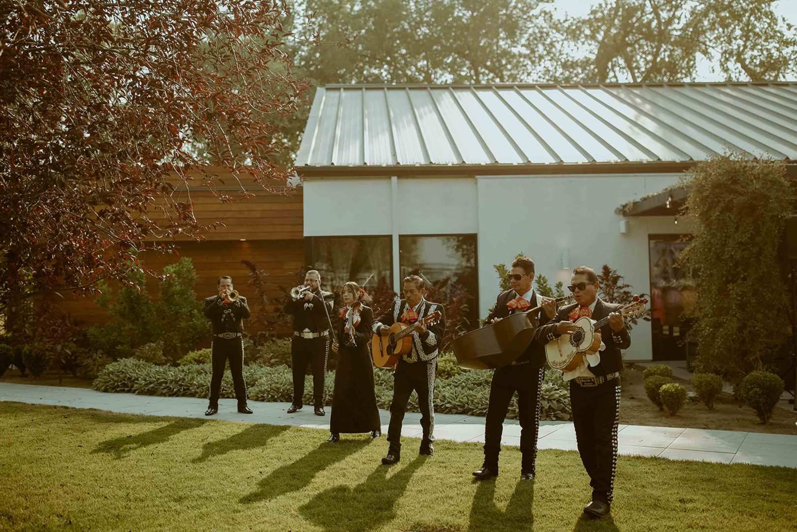 Mariachi Band playing on a green lawn